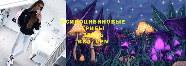 ГАЛЛЮЦИНОГЕННЫЕ ГРИБЫ Алексин